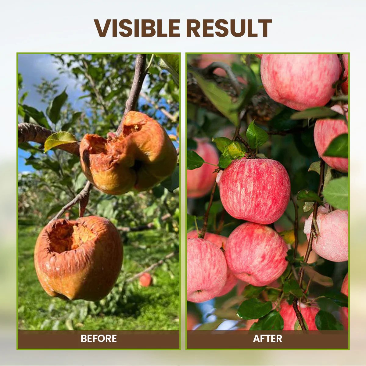 🏆75K+ SOLD! 🌳Soil Pro Activator